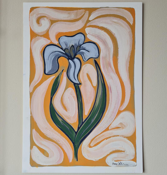 Painted iris